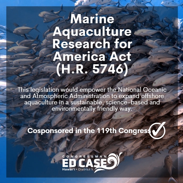 Rep. Ed Case tweet media