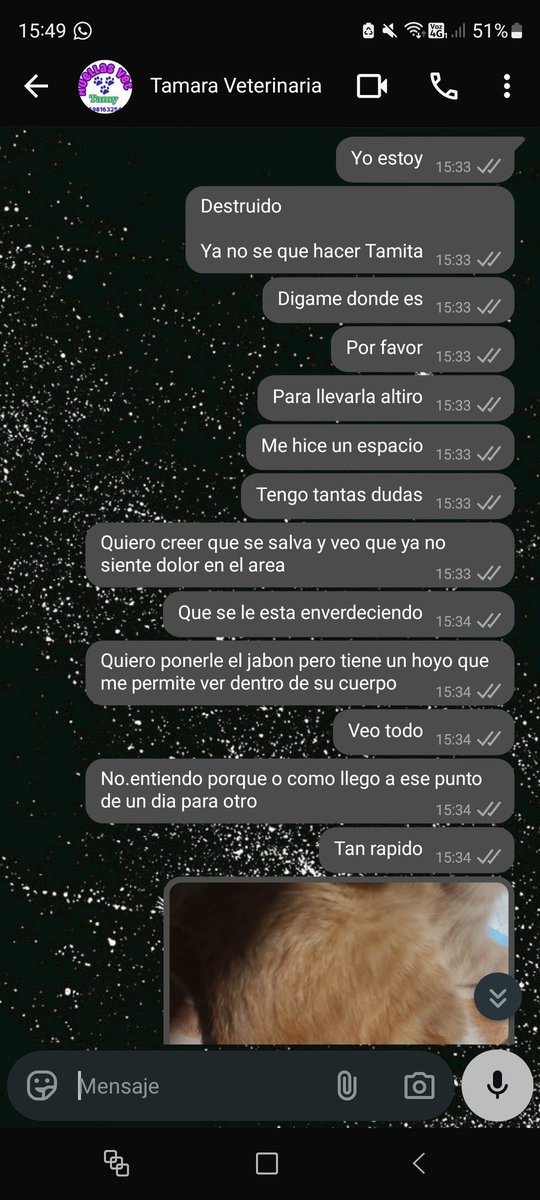 Cal • Varius ™ • CMS OPEN tweet media