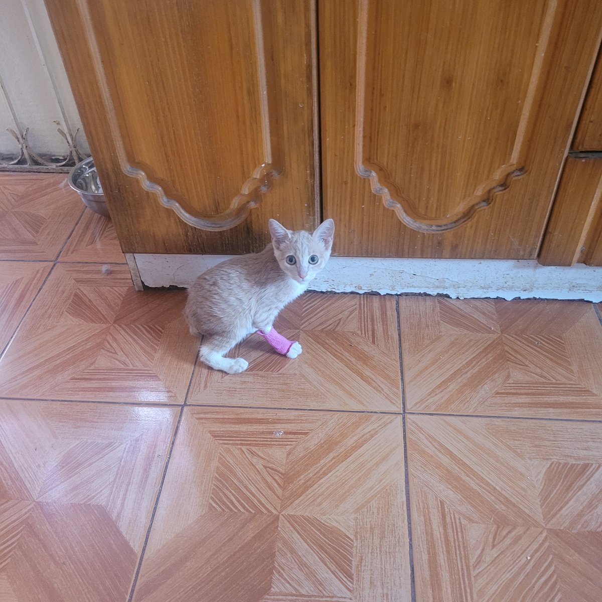 Cal • Varius ™ • CMS OPEN tweet media