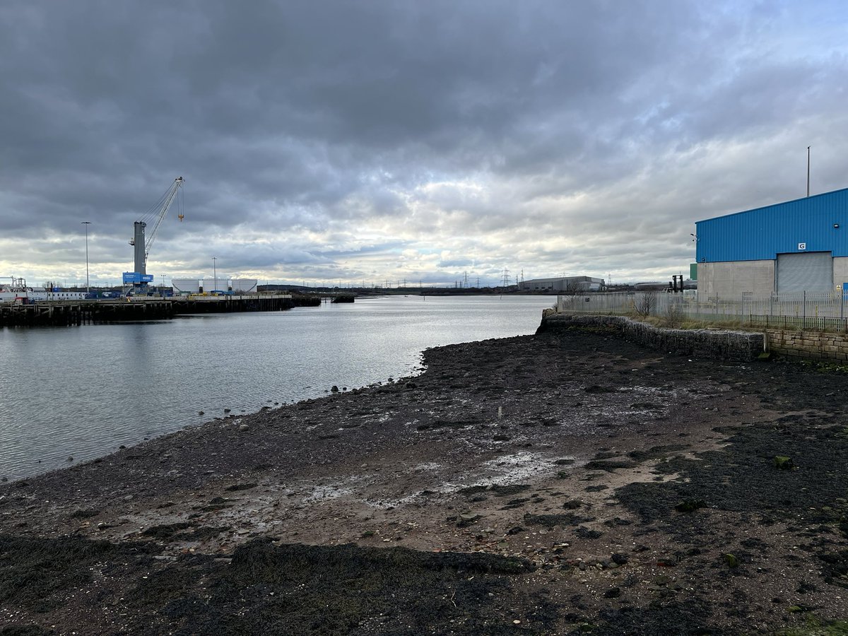 Mark Jarrett 🏴󠁧󠁢󠁥󠁮󠁧󠁿🏴󠁧󠁢󠁳󠁣󠁴󠁿🇮🇪 tweet media