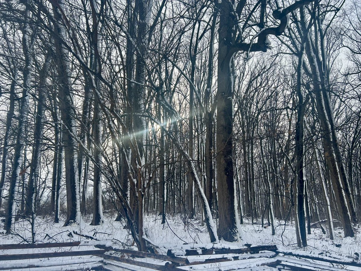 Essau1969's tweet image. #WayBackWednesday 👀💫 #Winter ❄️💙❄️💙❄️💙❄️💙❄️💙❄️💙❄️