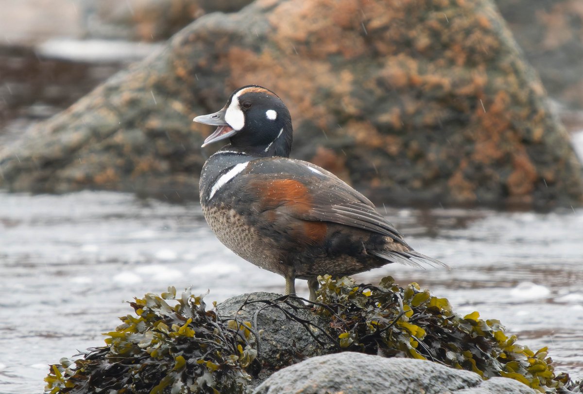 Paul Slade tweet media