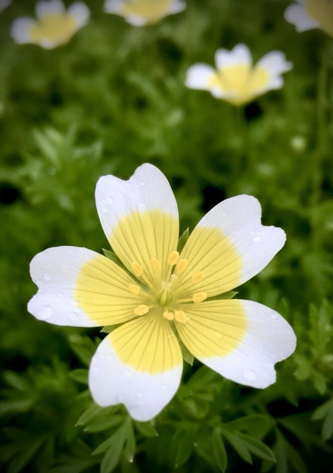 Smiley☆ emi (@emi17lovers) / Posts / X