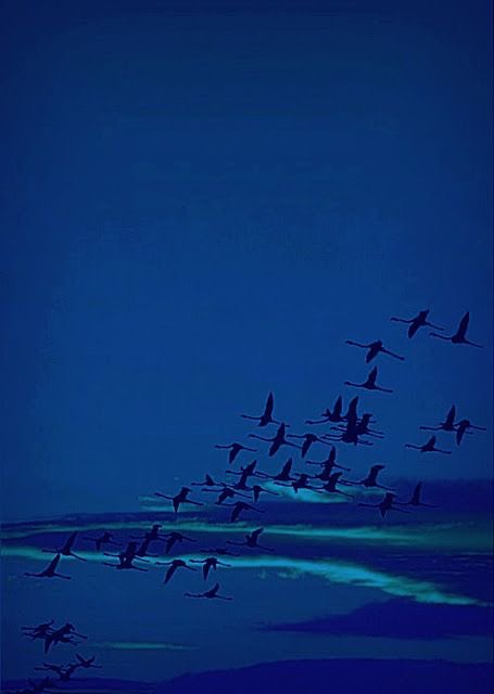 Fotoğrafı / Şarkısı open.spotify.com/track/3R1me145… 💙