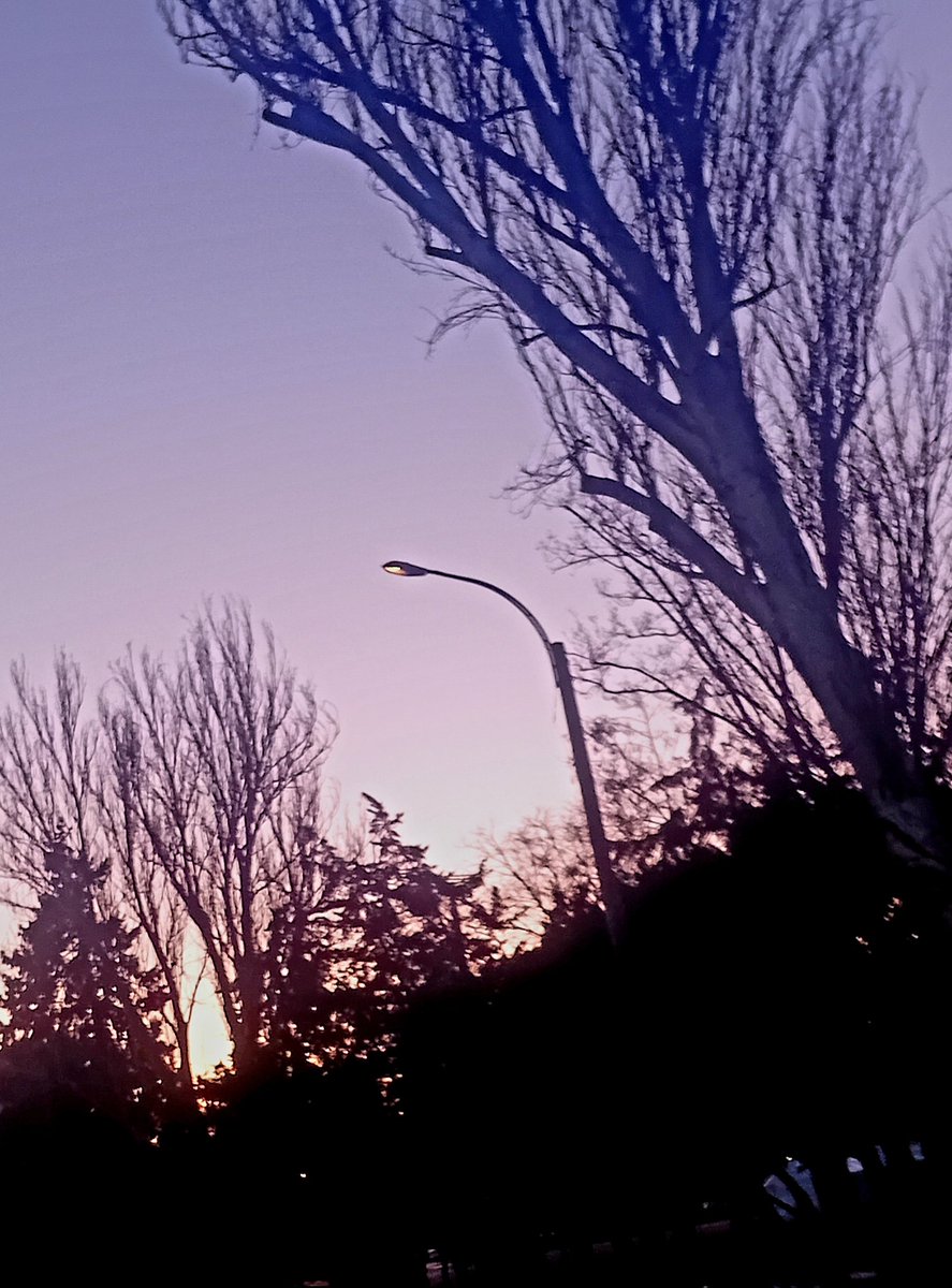 Катерина Галич tweet media