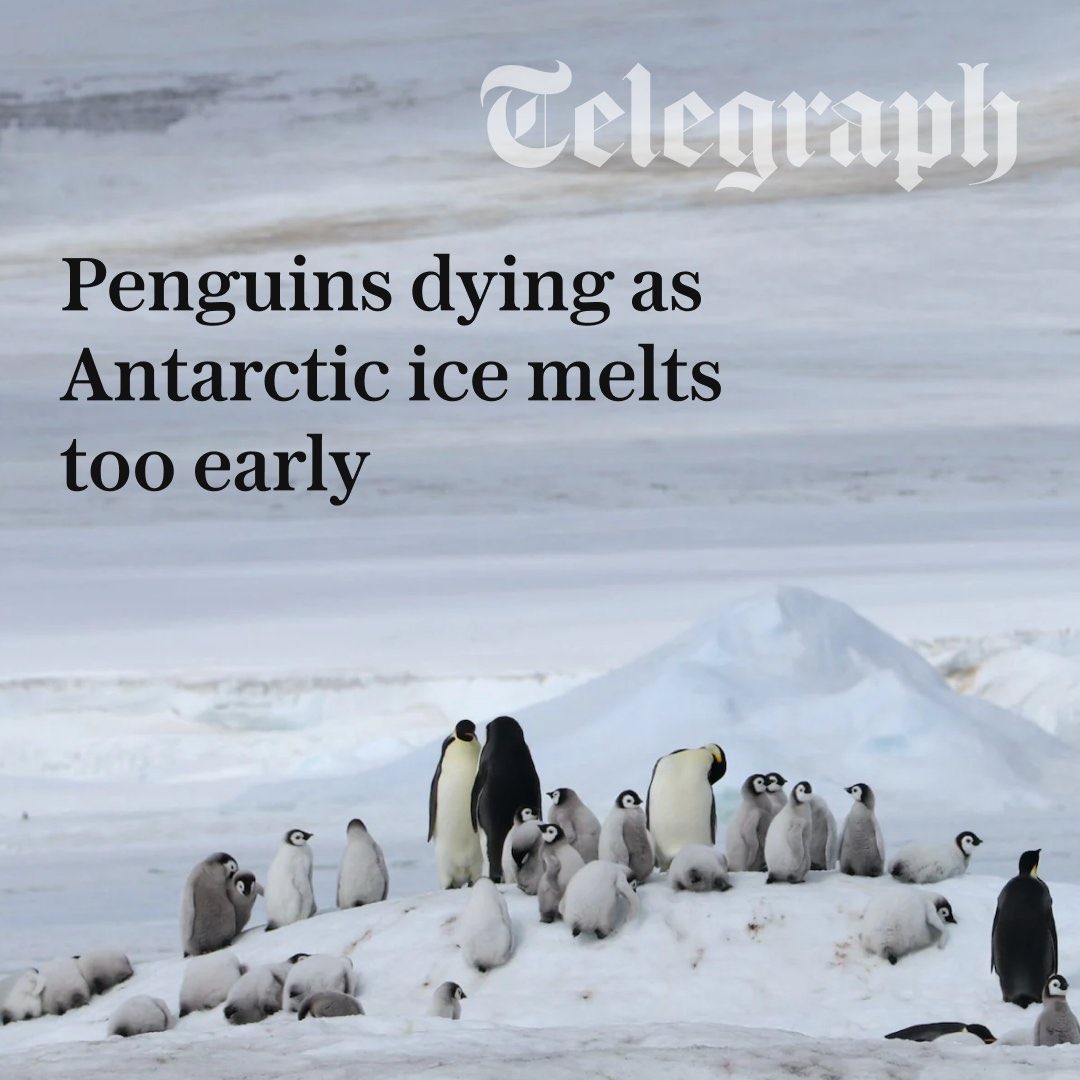 We are sleep walking to ecological collapse