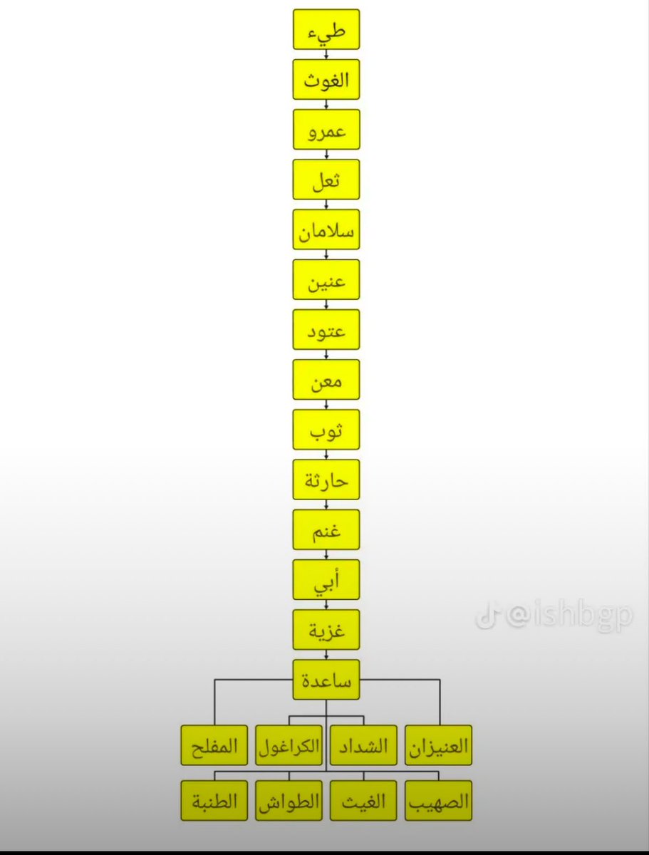 Otb_ops's tweet photo. @nawaf_2024_ @turkiviix @7turbe https://t.co/p6LeONDm5w