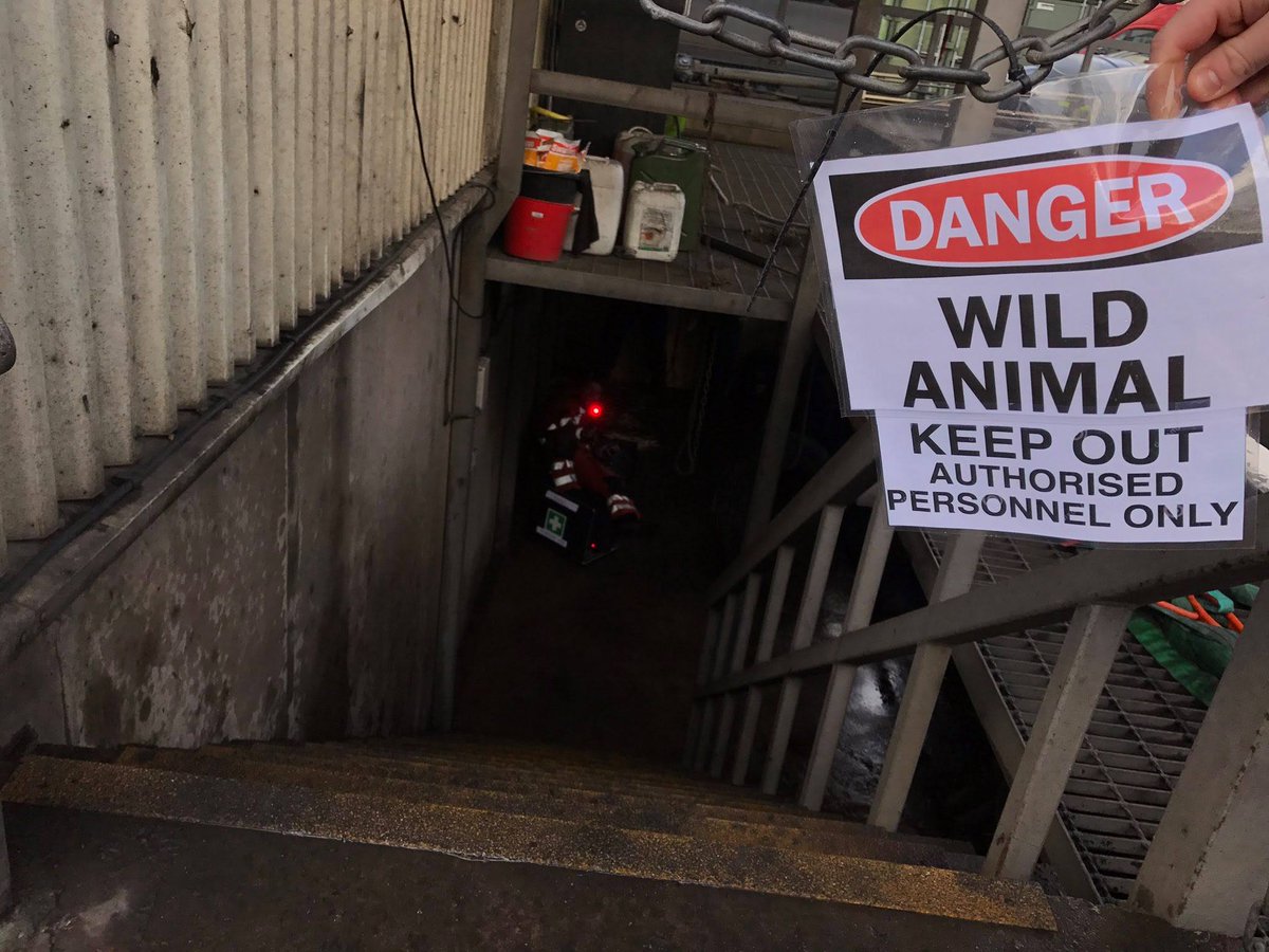 Mike Abernethy 🇺🇸 tweet media