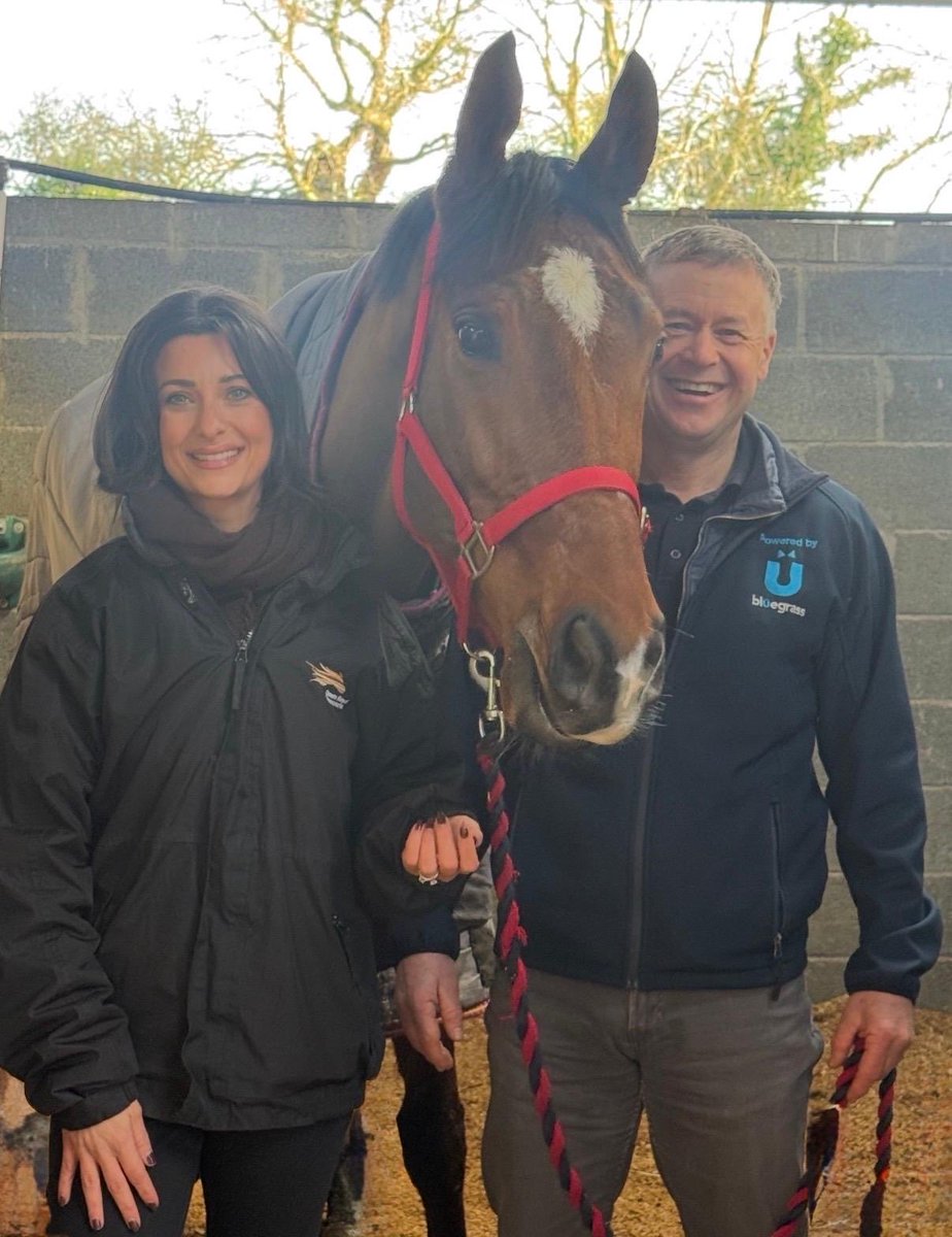 Down Royal Racecourse tweet media