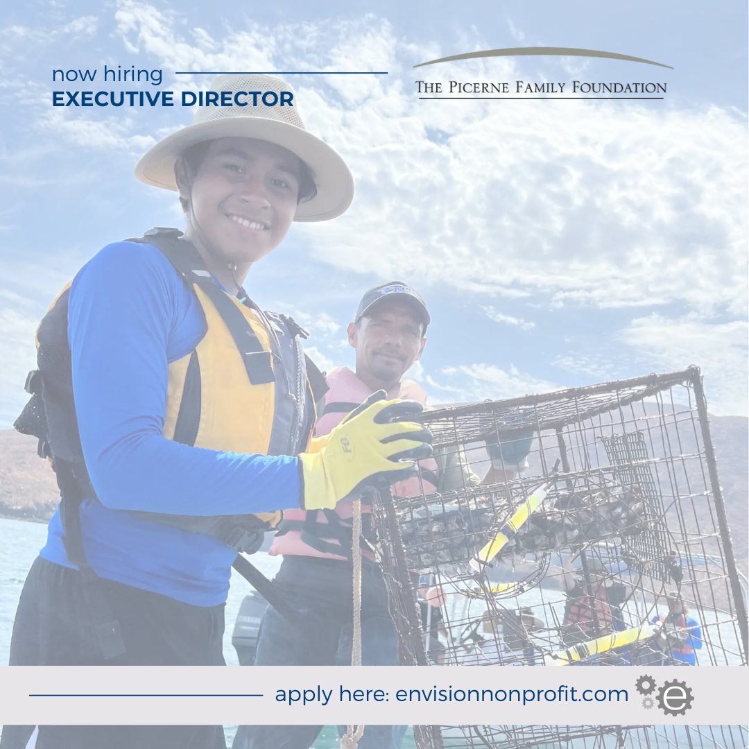 Envision Consulting tweet media