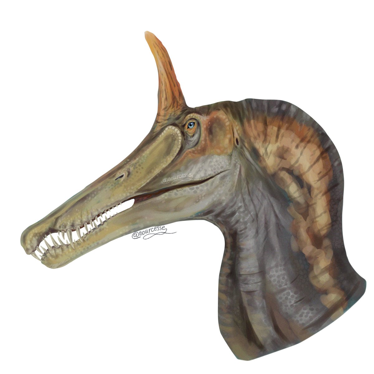 nourcesse's tweet photo. More spinosaurus mirabilis yay

At this point I realised I ditched lineart... How cruel of me😔 
but at least I finally like the results of my scribbling. And also hope that you'd like them too, people of the internet!

#dinosaurs #paleoart #Spinosaurusmirabilis https://t.co/DwJiw7NBQa