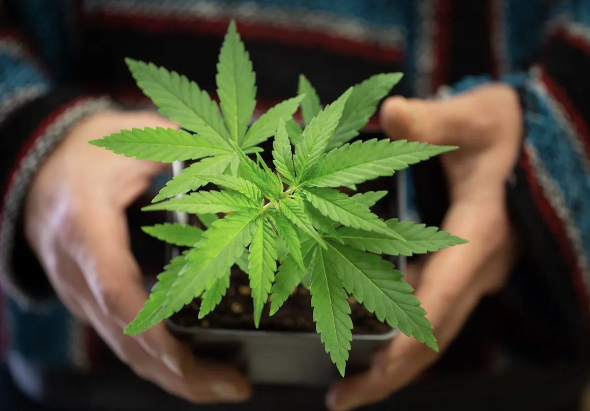 MjLink.com, Inc. tweet media