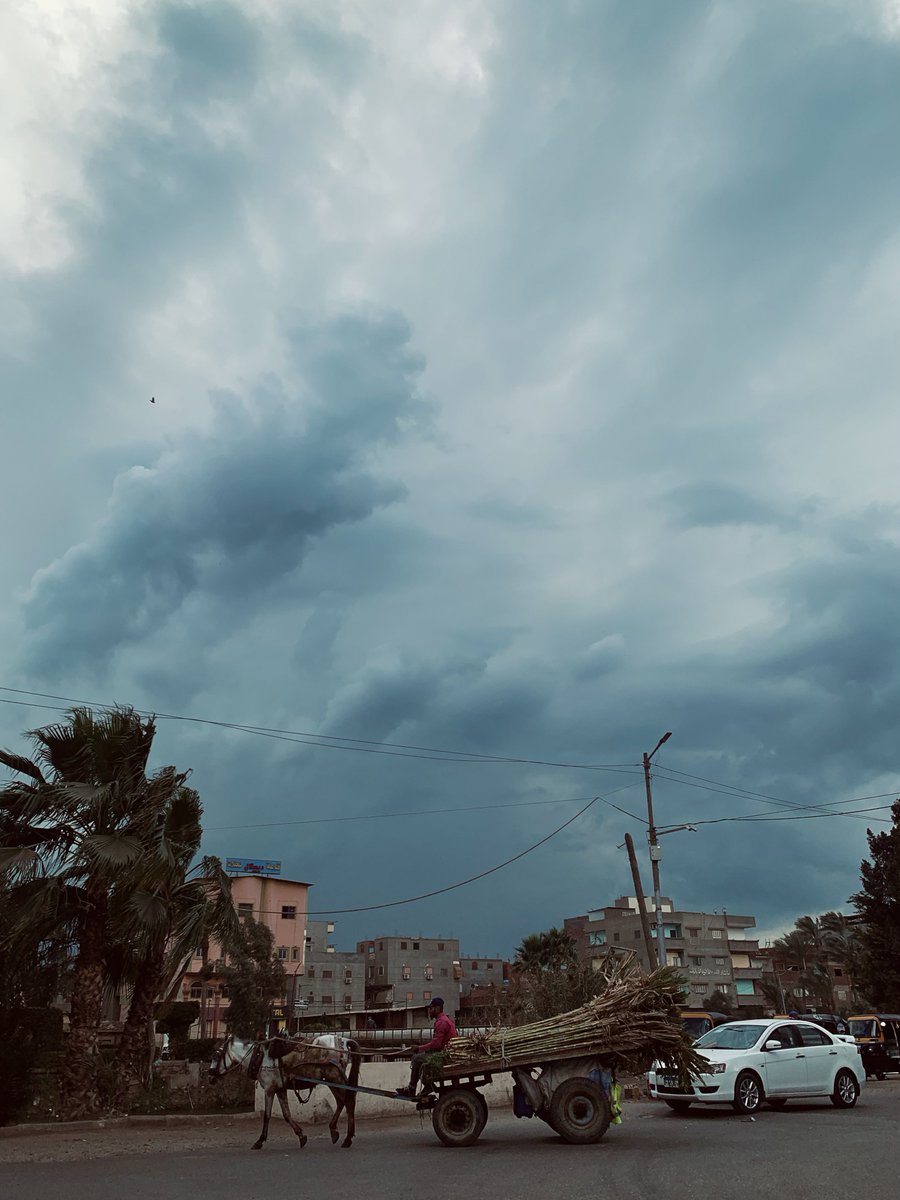 YoussefShanesa's tweet photo. ٢٥ فبراير ٢٠٢٦ https://t.co/II1a6PEJzR