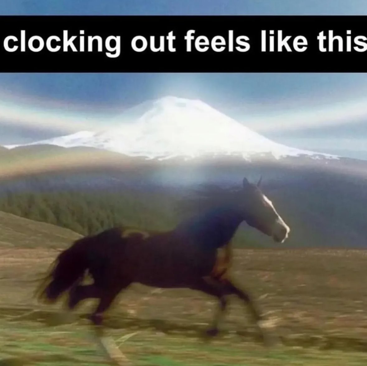 ✧ (@northstardoll) on Twitter photo 