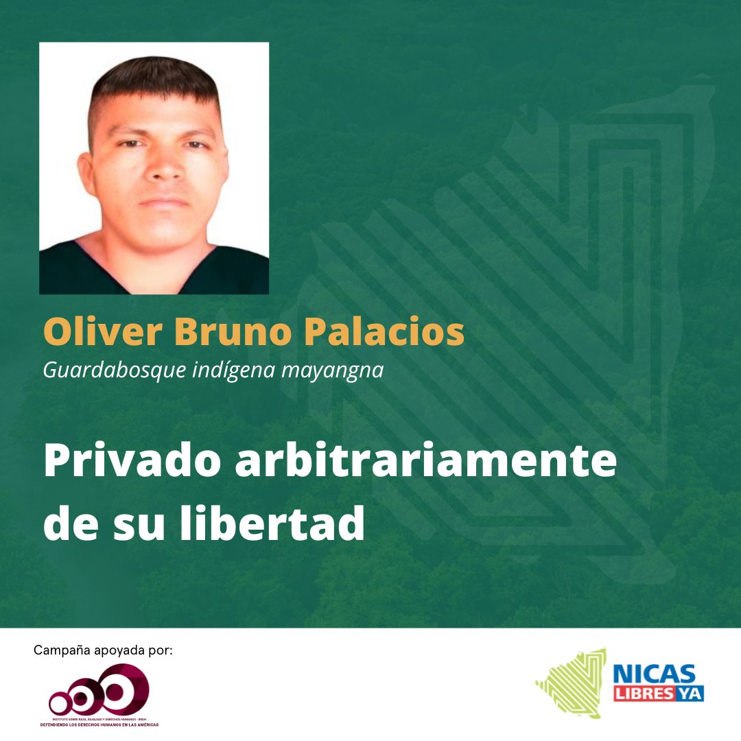 Nicas Libres Ya tweet media