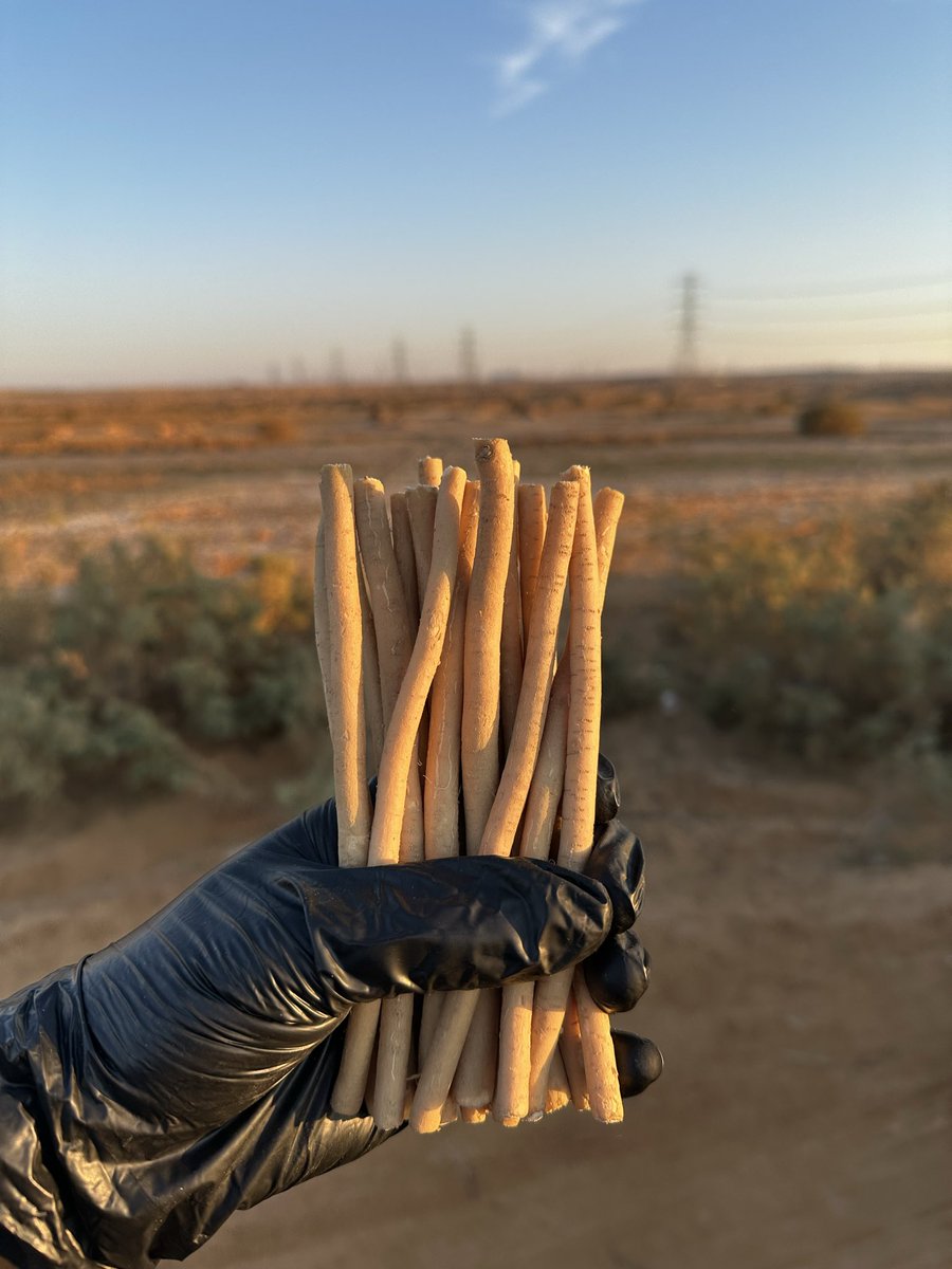 متجر ابو حنش للسواك tweet media