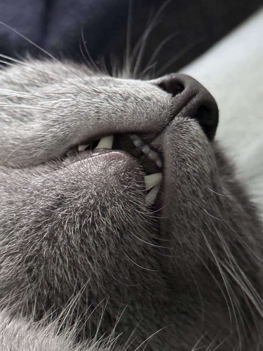 Τα δοντάκια 🫠🫠🫠