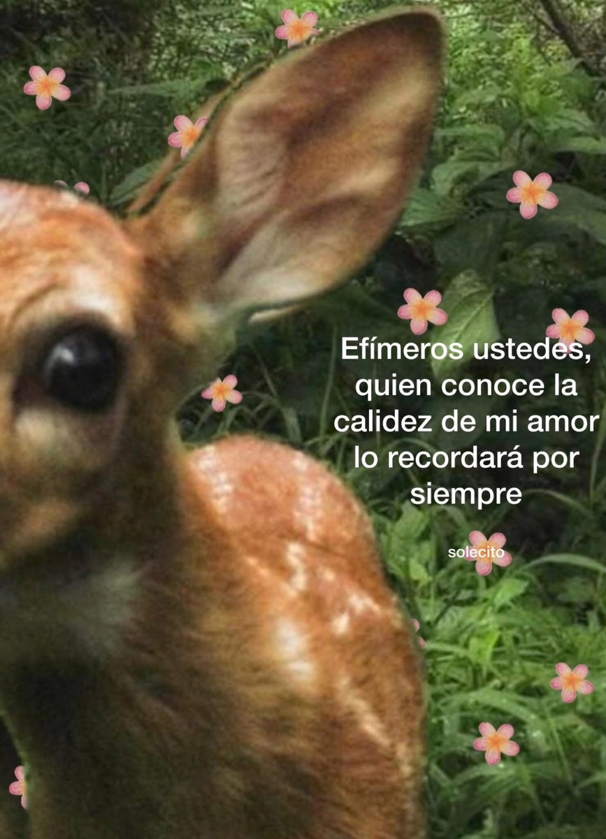 Carola (@minidramatica) on Twitter photo 