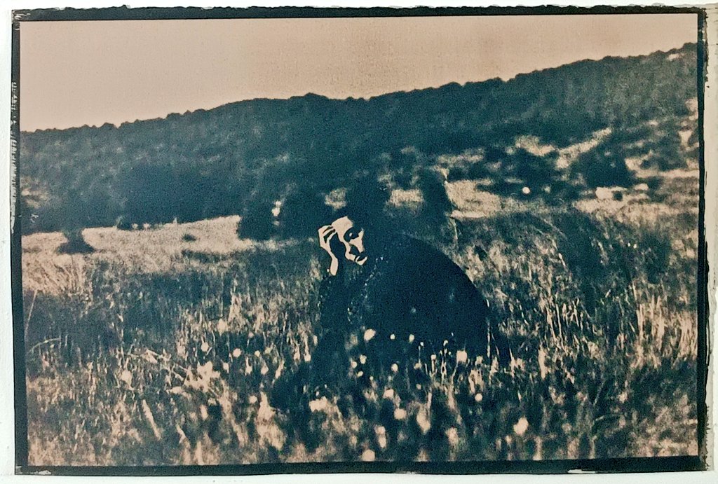 شهامت tweet media