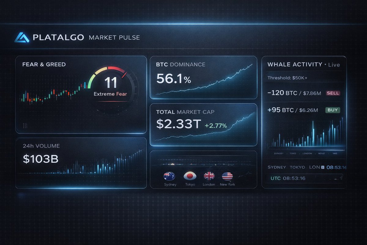 PlatAlgo tweet media