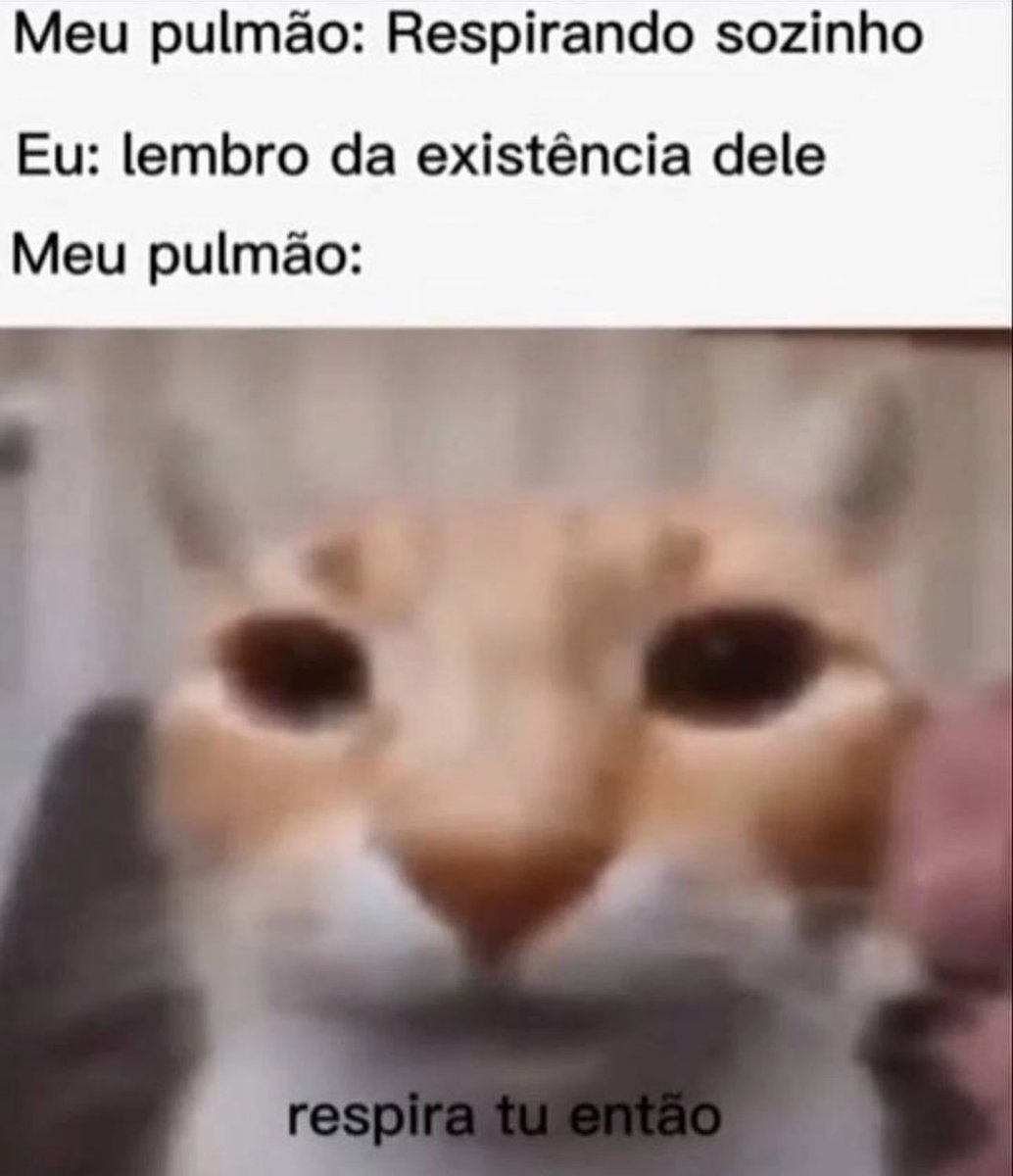 shitpostverdade's tweet photo. https://t.co/4SvpSRZx1Y