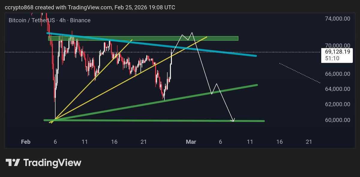 79 Trader ,₿, tweet media