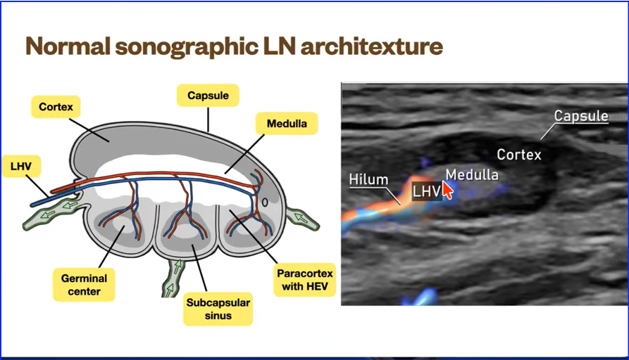 Rajan kanth tweet media