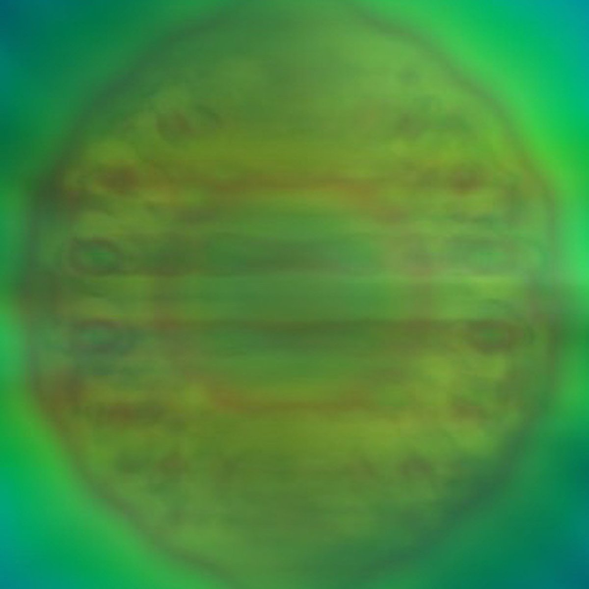 BREAKING🚨: Researchers reveal the shape of a single photon for the very first time!