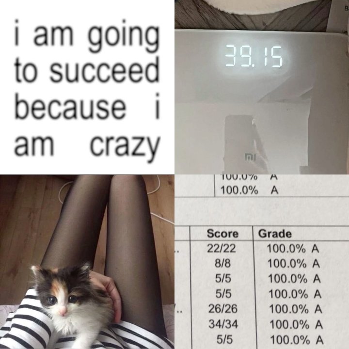 numbers determine my whole life