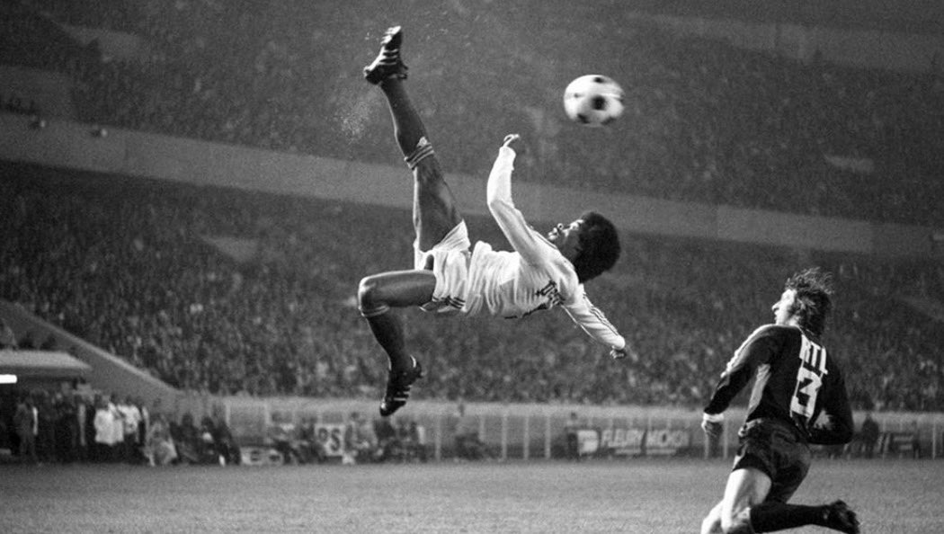 Procópio Cardozo tweet media