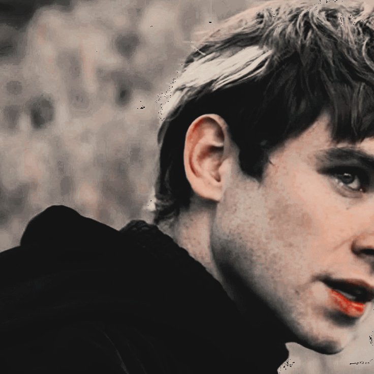 ✶ ₊ ⁱⁿʰᵉʳⁱᵗᵉᵈ ᵍʳⁱᵉᶠ tweet media