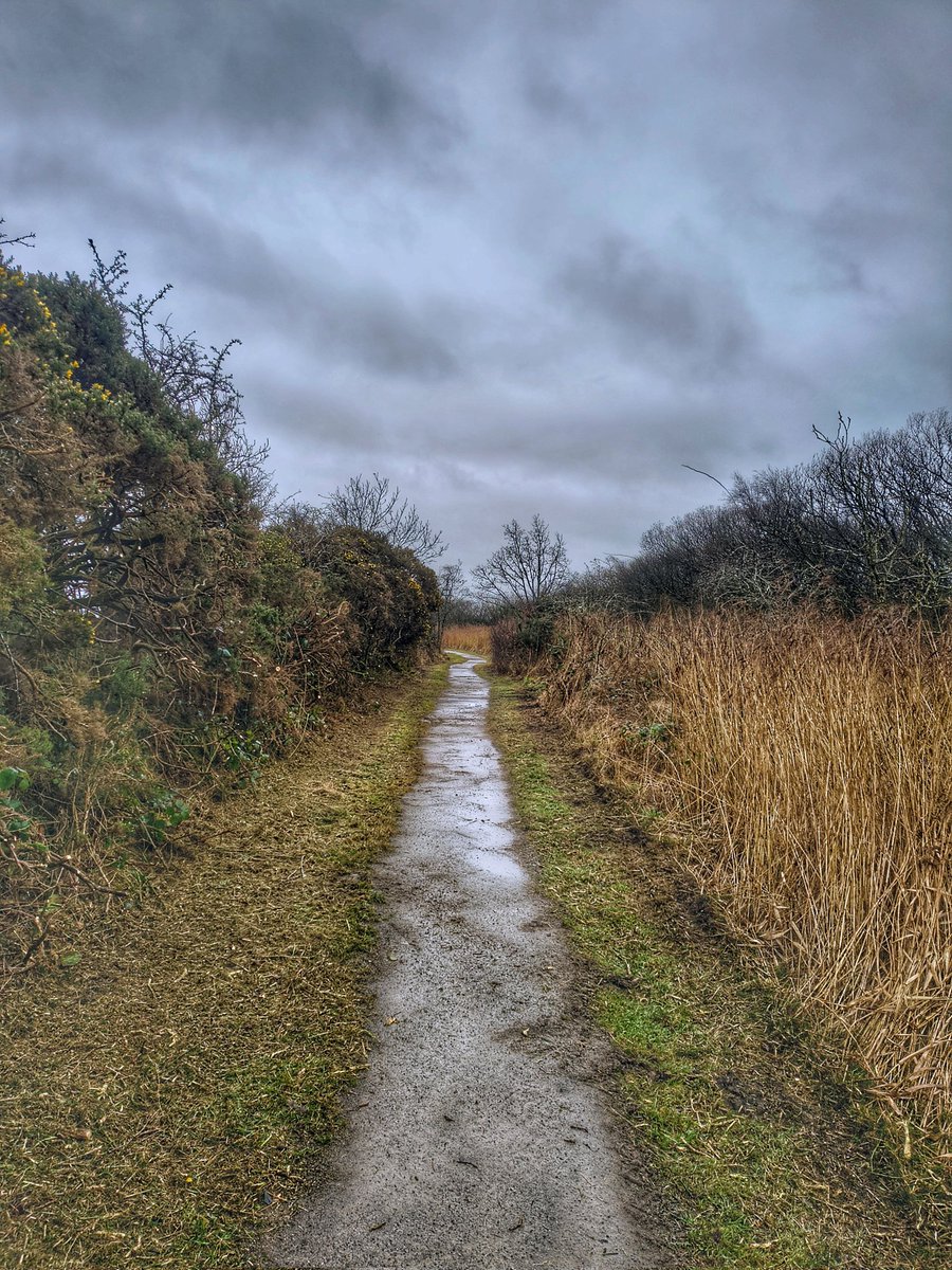 HADRIAN'S WALL PATH tweet media