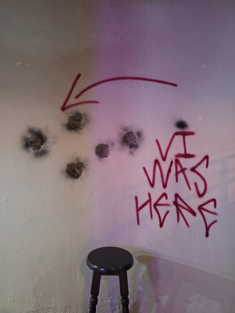 alex 🐈‍⬛ tweet media