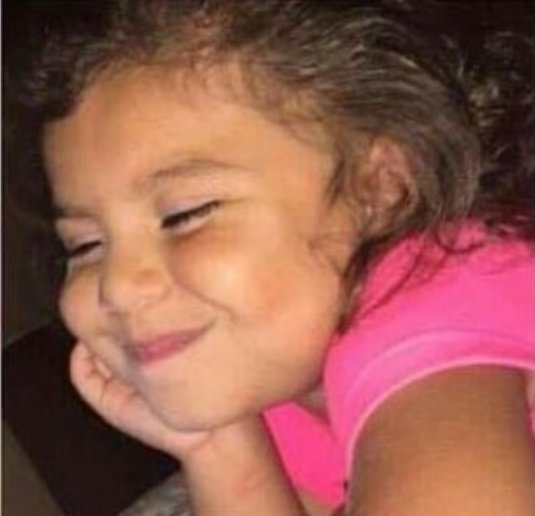 The Man Trader tweet media