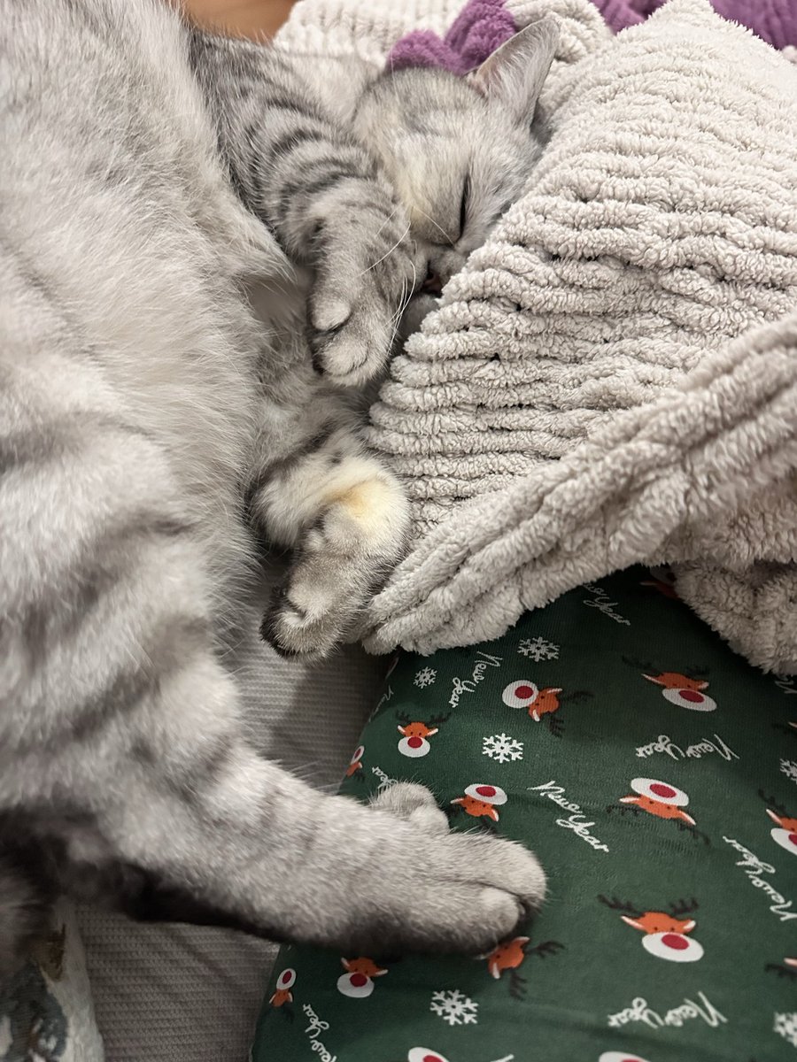 Evde bir temas bağımlısı var