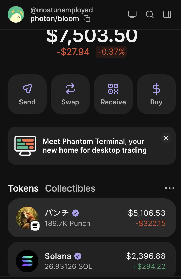 i rarely trade, been focused on other aspects in life as one of my main goal this year was to detach from the degen lifestyle but stay involved. my port now is roughly $14k with most of my money in punch.

i have 7k on fomo remaining.

honestly just playing things slowly, keeping