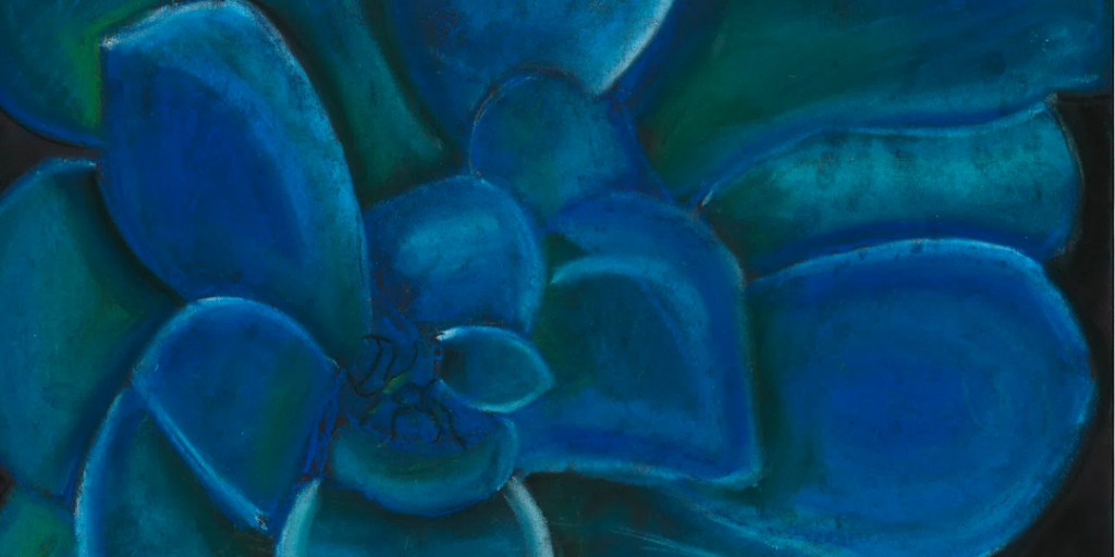 Springer School and Center tweet media