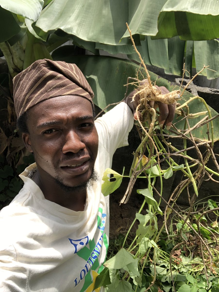 MustyOfAgric🍃 tweet media