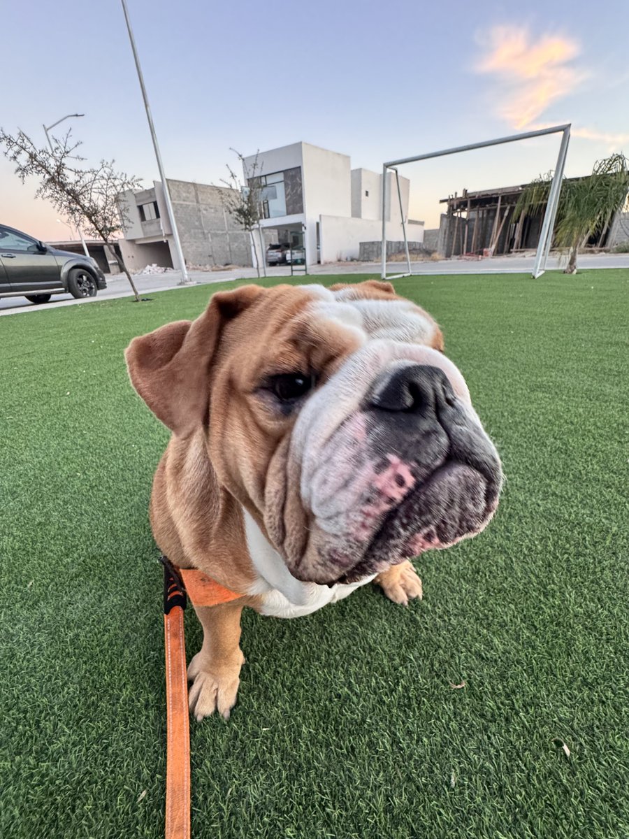 Sergio Herrada tweet media