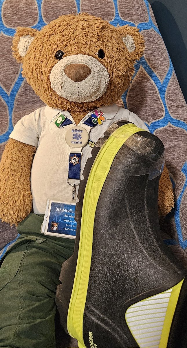 BDMed_Bear's tweet image. OMB! Dad, what HAVE YOU DONE?! We only brought these in #September  - *hard stare at dad* well, I've done my very best to fix them! #bearswithjobs #equipmentofficer #NeedNewBoots🥾 #WellbeingWednesday