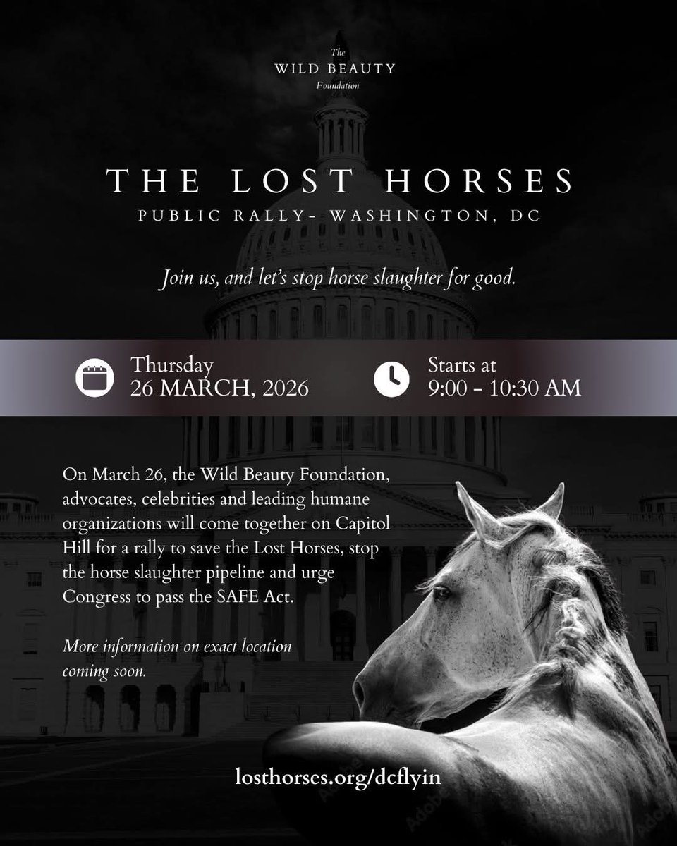 meliorist59's tweet photo. #TheLostHorses
#SaveOurWildHorsesAndBurros
#HaltTheHelicoptersNOW
#StopTheSlaughterNOW
#PassTheSAFEActNOW https://t.co/9O0iNWR8tl