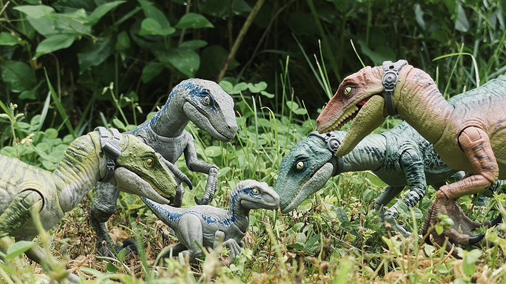 beta_blue80768's tweet photo. Remembering the day when the Aunties met baby Beta
@BlueVeloRaptor
@DeltaTheRaptr
@be_my_lunch
@Echotherap https://t.co/gG6IupJk90