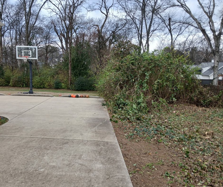 MenInGreenTree1's tweet photo. Now is the ideal time to clear brush before spring brings new growth! Our equipment tackles thick overgrowth, invasive plants, and tough terrain that standard tools can't handle. Our 30+ years of experience transform Middle Tennessee properties!

#MenInGreen #MiddleTennessee https://t.co/irznDvz04n