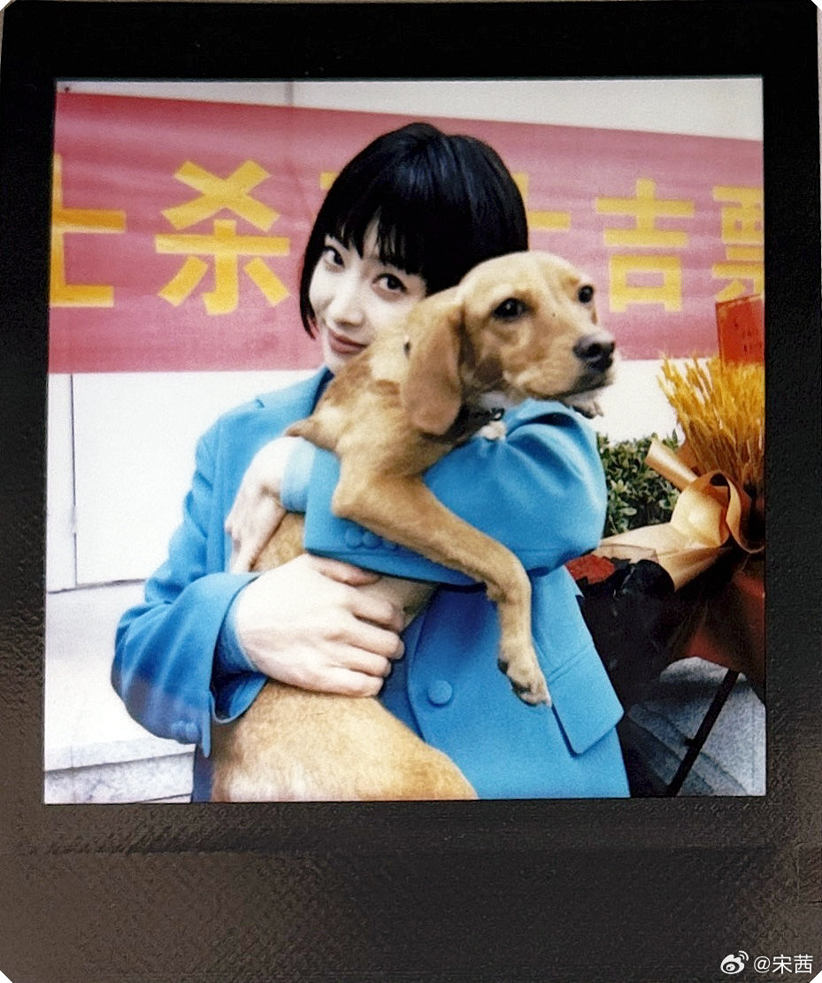 VICTORIASONG THAILAND tweet media