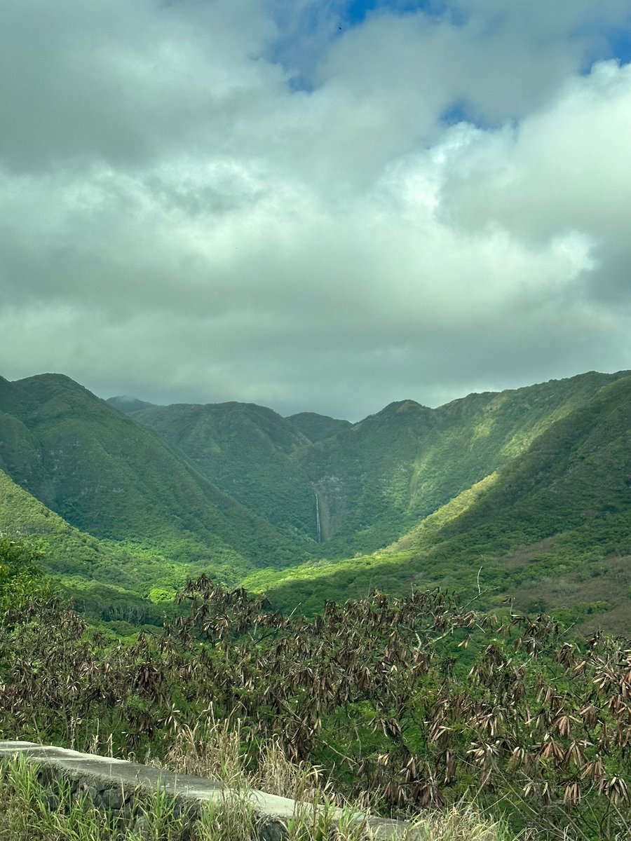 Axl Rokendu 🦊🪖 tweet media