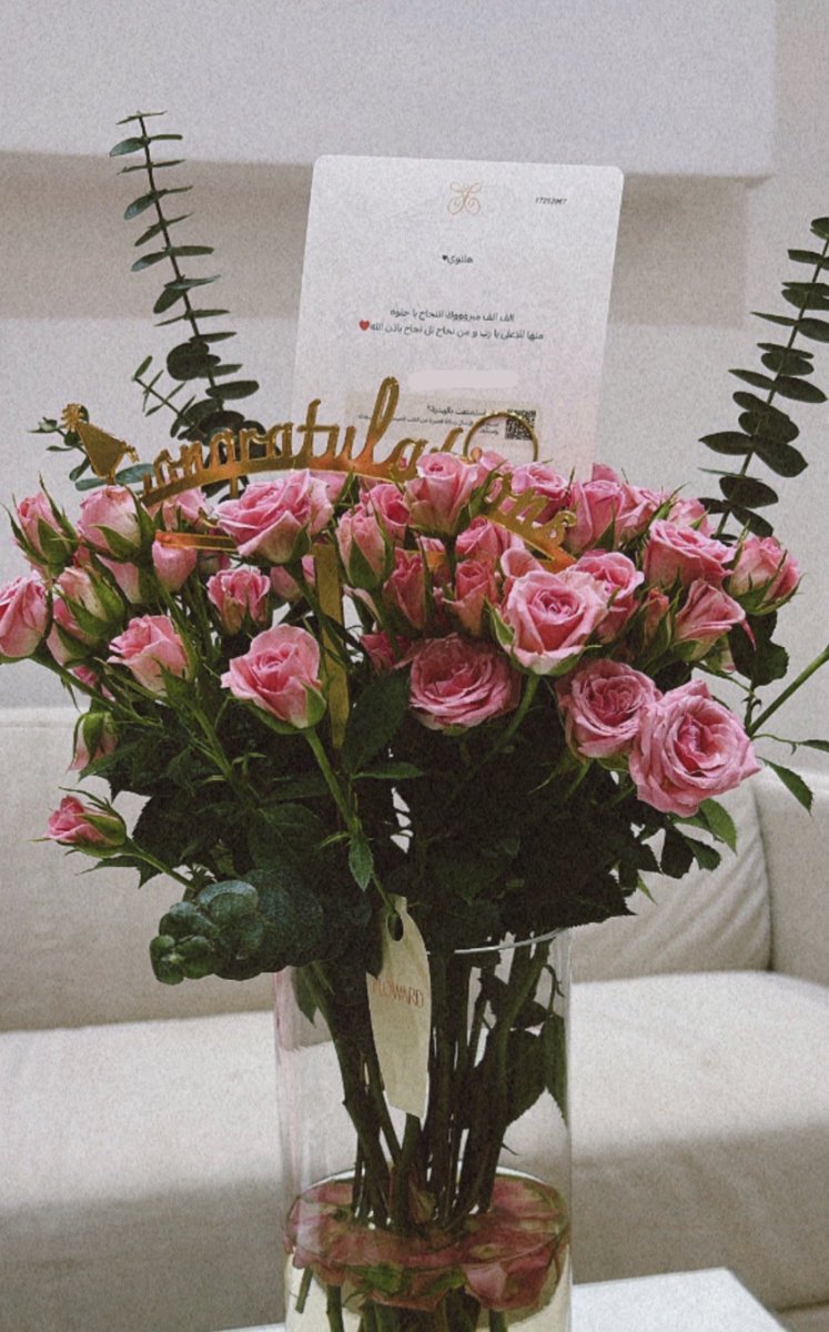 HALA~ هـلا tweet media