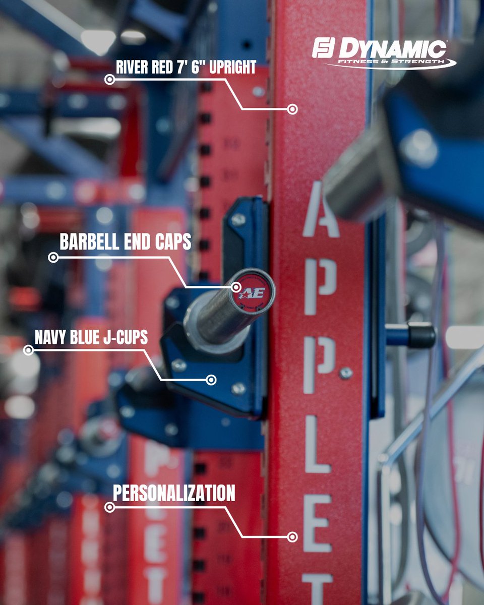 Dynamic Fitness and Strength tweet media