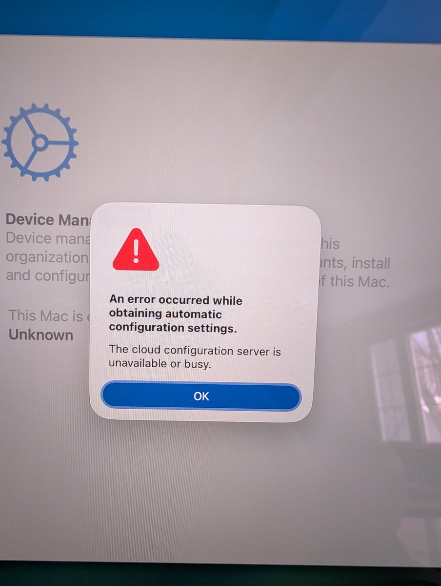 zeb (@zebassembly) / Posts / X