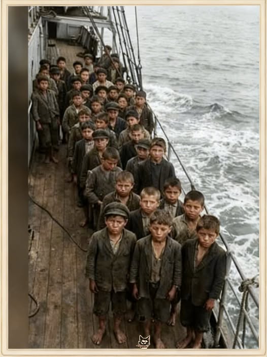 "Gdy na otwarte morze wypchnięto 740 dzieci, skazując je na cichą śmierć, świat odwrócił wzrok.
Był rok 1942. Wojna redukowała ludzkie życie do łatwego do wymazania numeru. Pośród fal Oceanu Indyjskiego sunął stary, pokryty rdzą statek, który nie miał wyznaczonego kursu. Nie