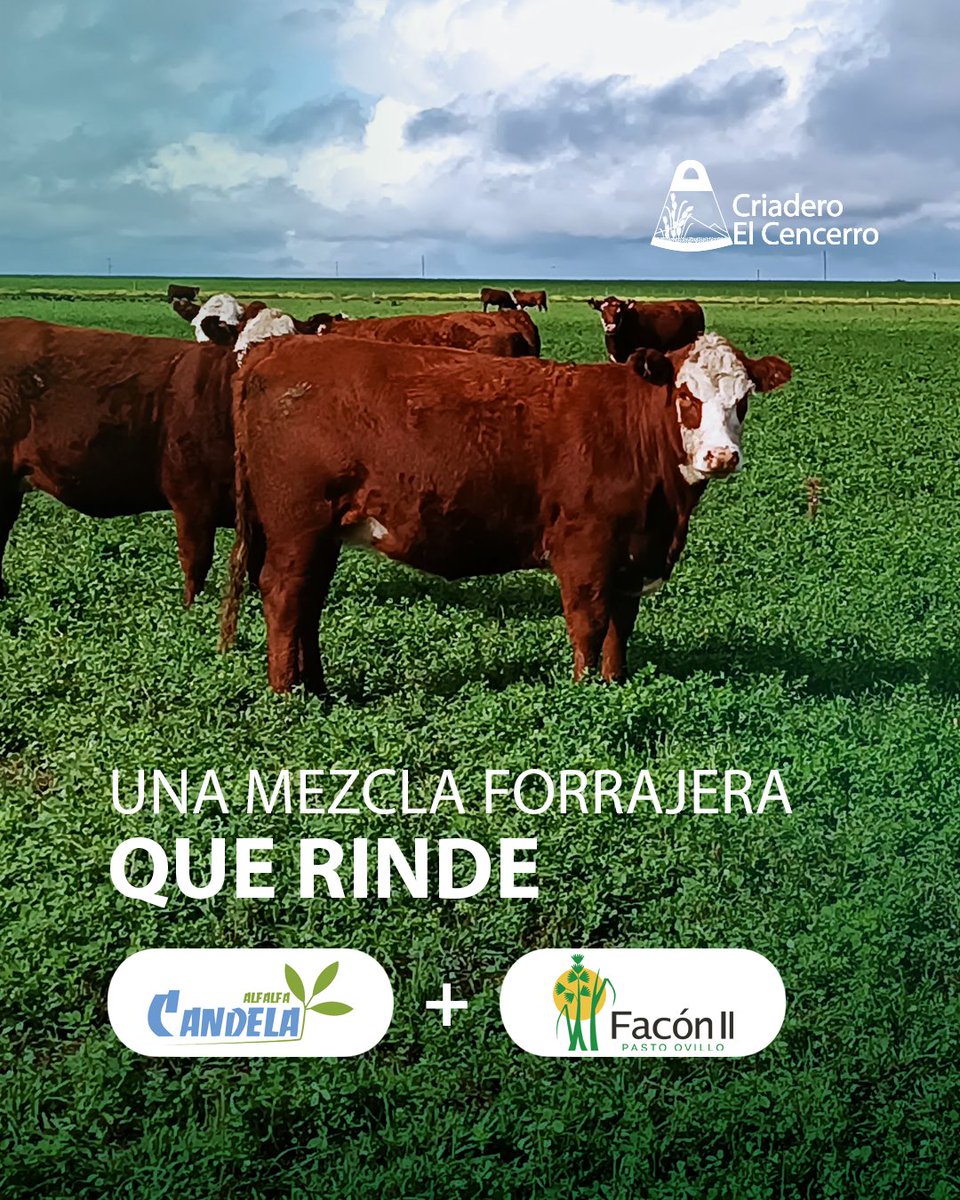 Criadero El Cencerro tweet media